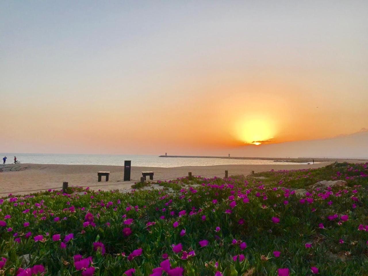 Vilamoura Ferias By Ethnic Ocean Exterior foto